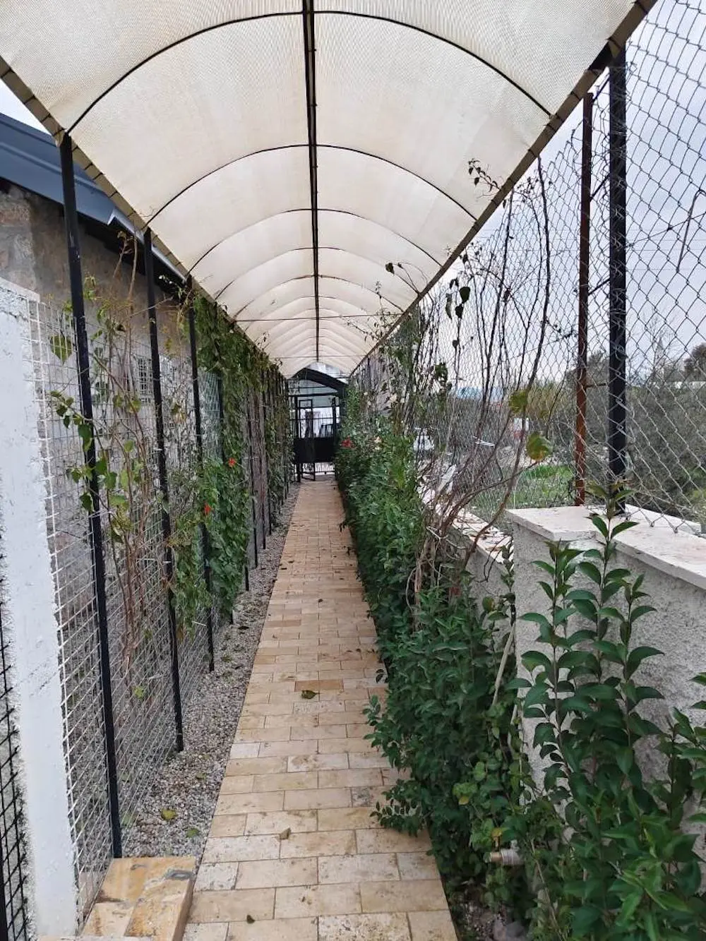 Garden area